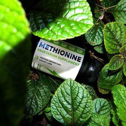 Methionine  | Essential vegetarian supplement